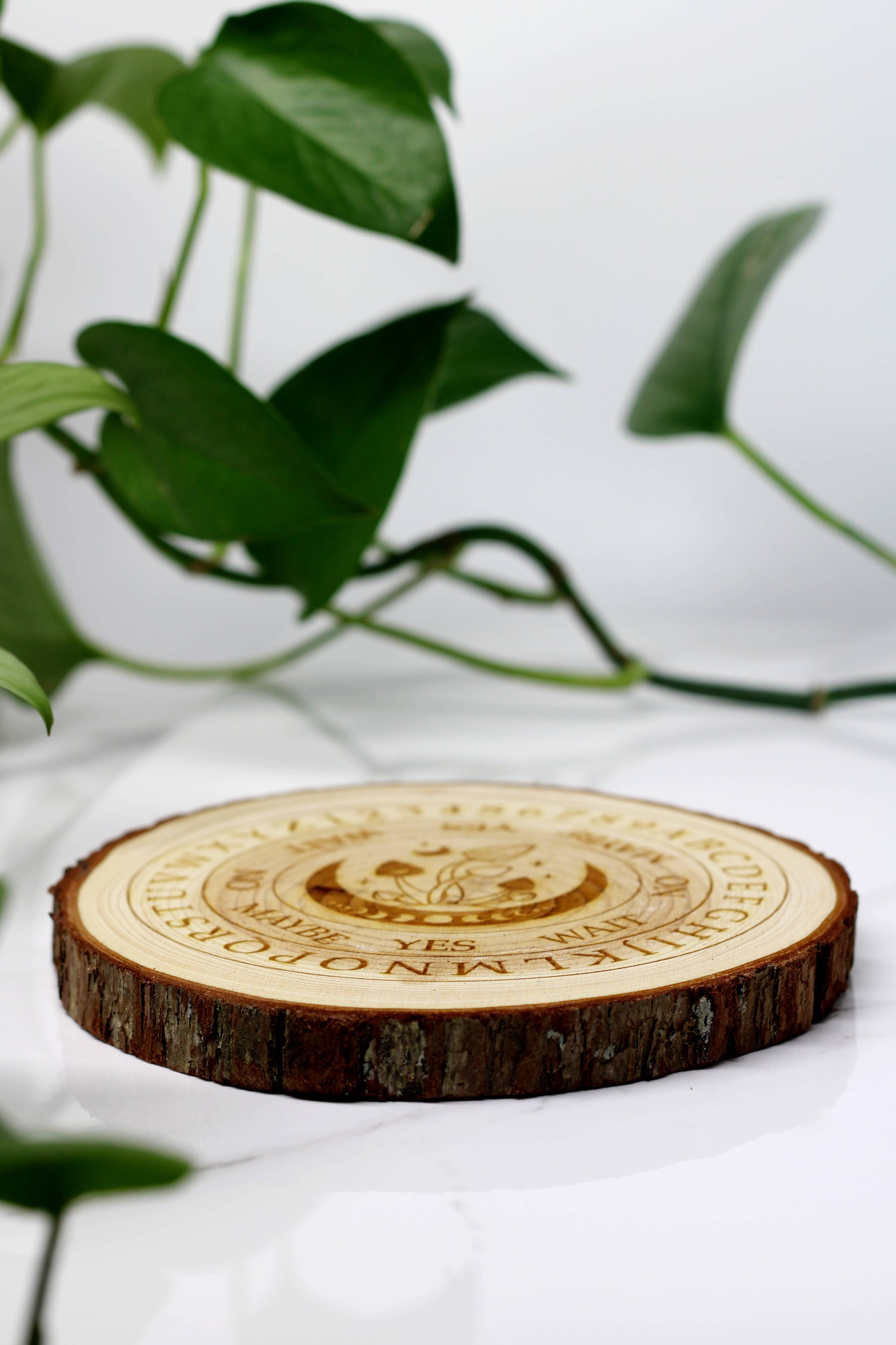 Natural wood mushroom moon pendulum board