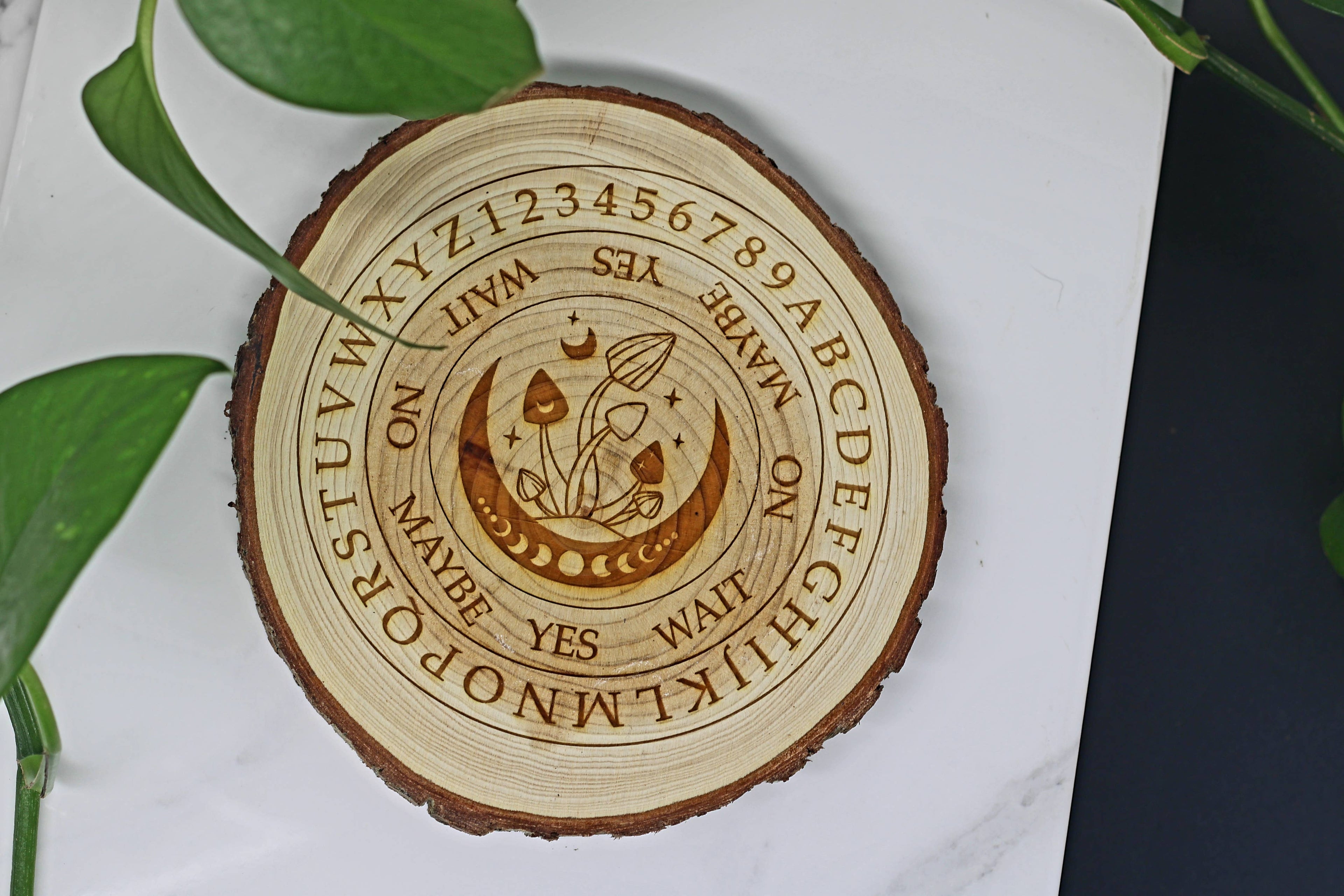 Natural wood mushroom moon pendulum board